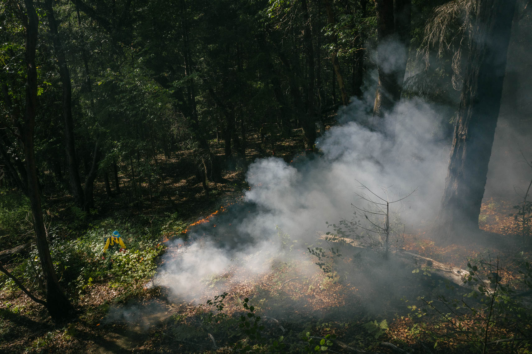 INDFIRECA-010
