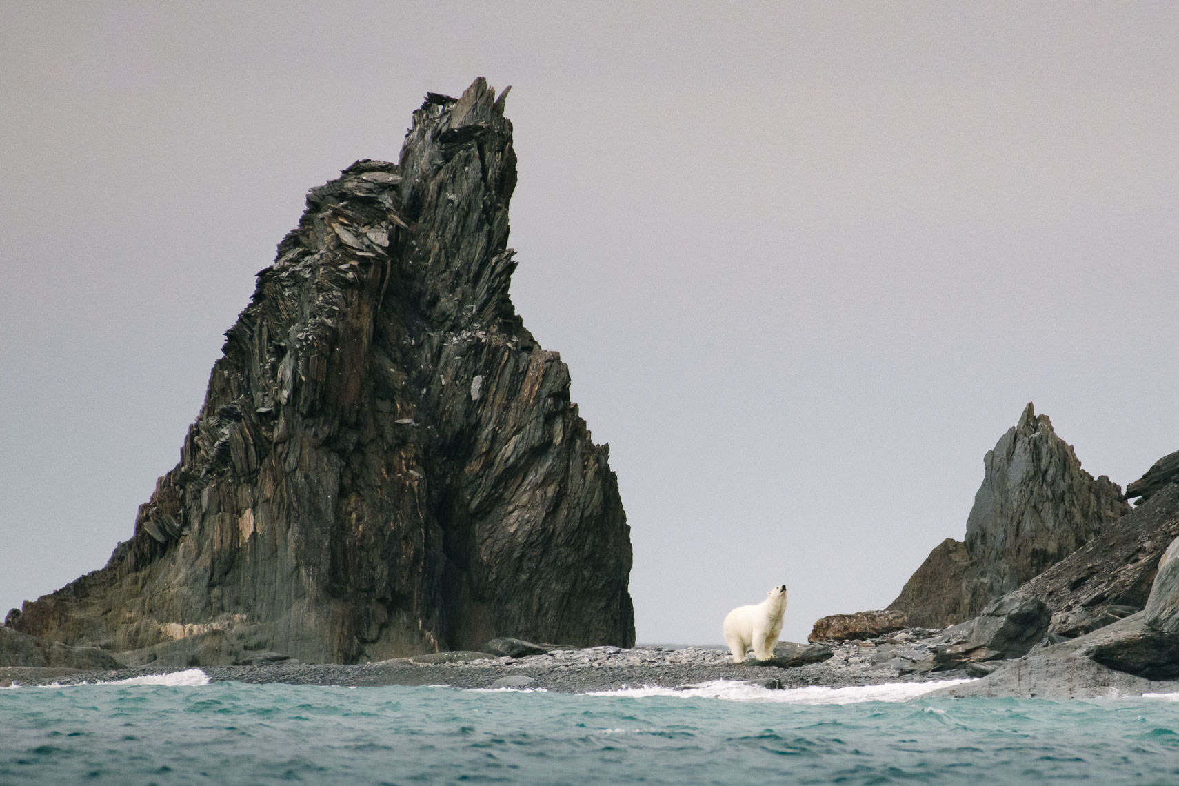 Waiting for Sea Ice, Herald Island